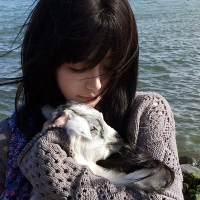 绿海迷踪